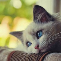 Liễu Thùy My - Người chơi tại vn88 rezence